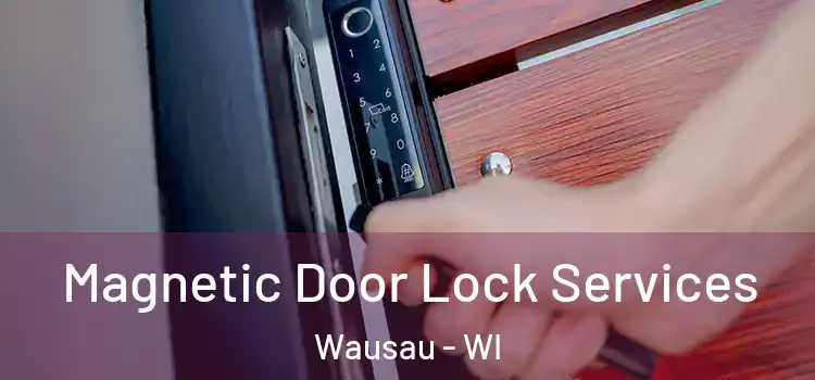 Magnetic Door Lock Services Wausau - WI